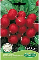 Radieschen SCARLET, Mehrfarbig, EC9035