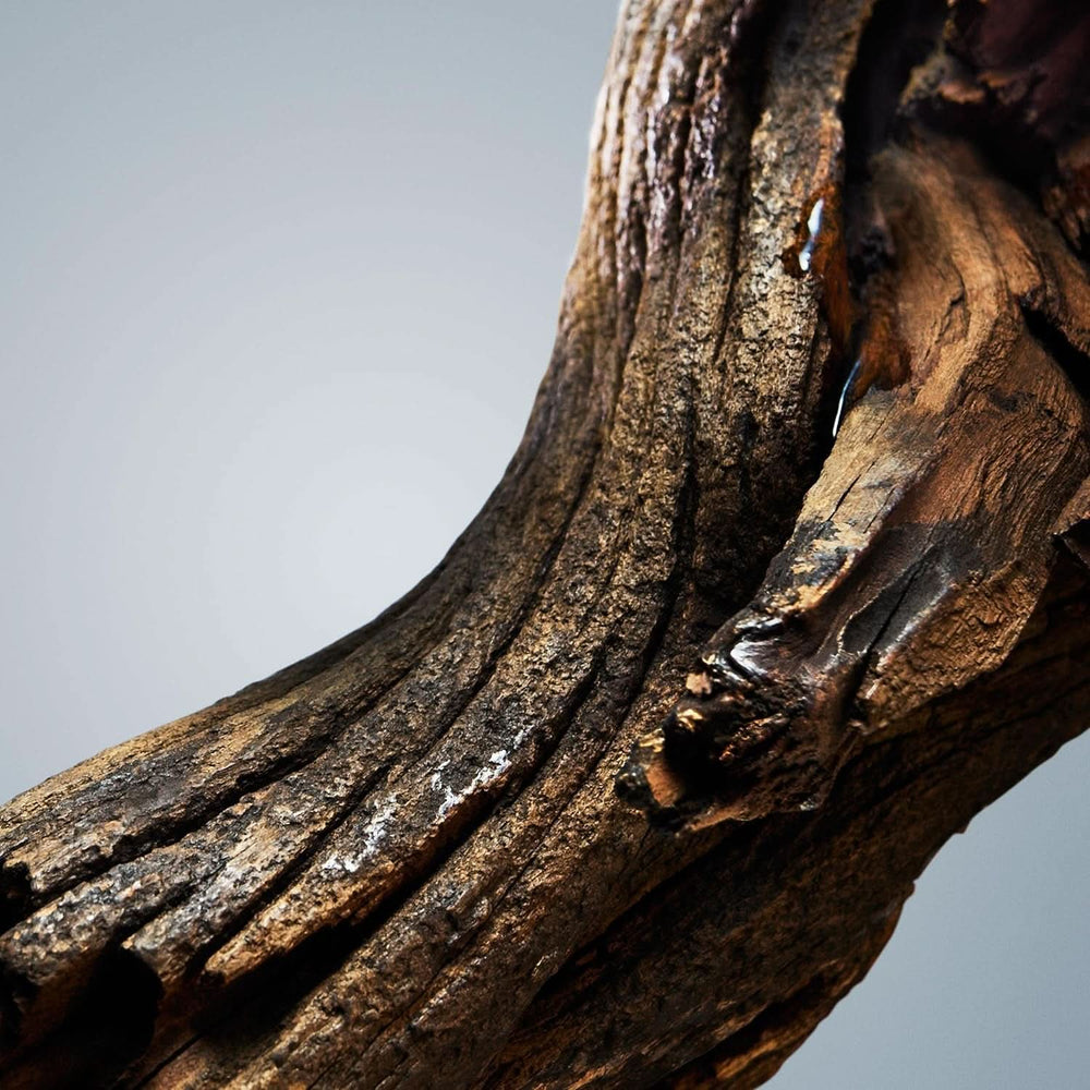 BOSS, gel de ducha, fragancia oriental amaderada para hombre con notas de canela y almizcle, 150 ml Ducha y baño Naty Shop