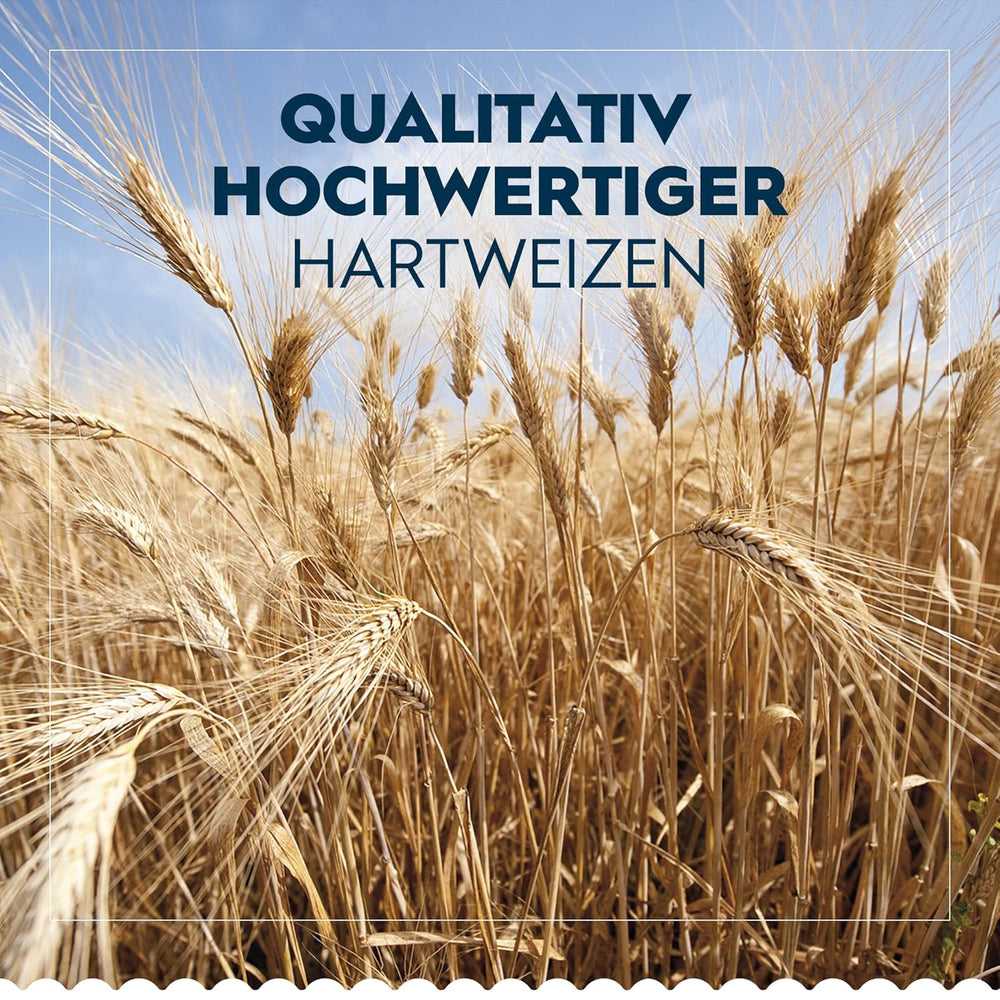 Pasta Barilla Clásica Penne Rigate Nr. 73 de trigo duro de alta calidad, siempre al dente (1 x 500 g)