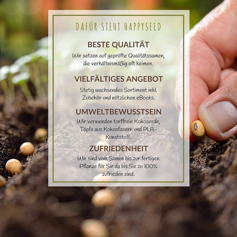 100 g de semillas de flores silvestres para un colorido pasto de abejas: mezcla de semillas de flores silvestres vibrantes y ricas en néctar para abejas y mariposas (incluye libro electrónico GRATIS)