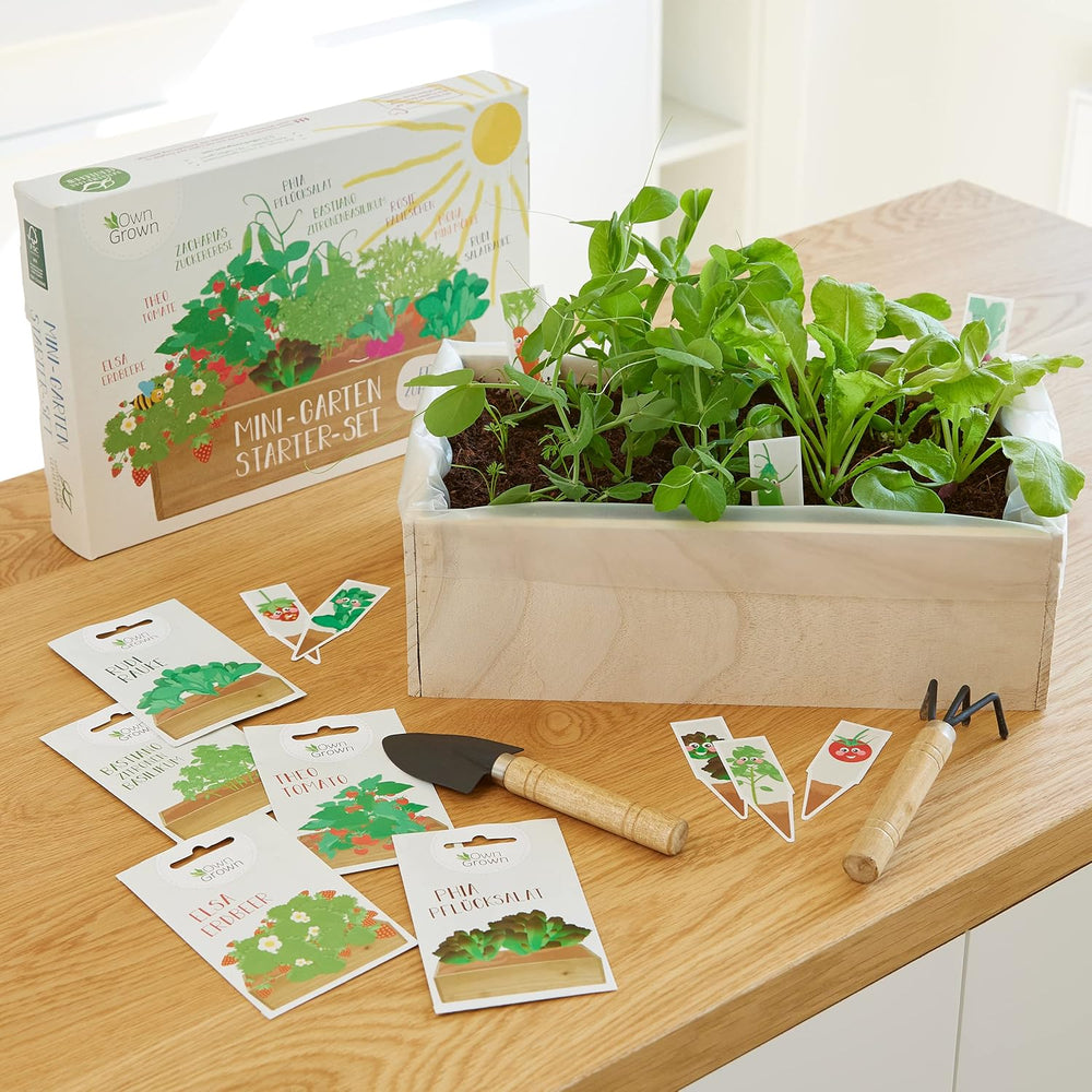 Kit de cultivo de semillas con caja de madera y 8 variedades de semillas de plantas: kit de cultivo de semillas de vegetales, fresas y hierbas para niños - Mini invernadero y mini kit de inicio de jardín de OwnGrown