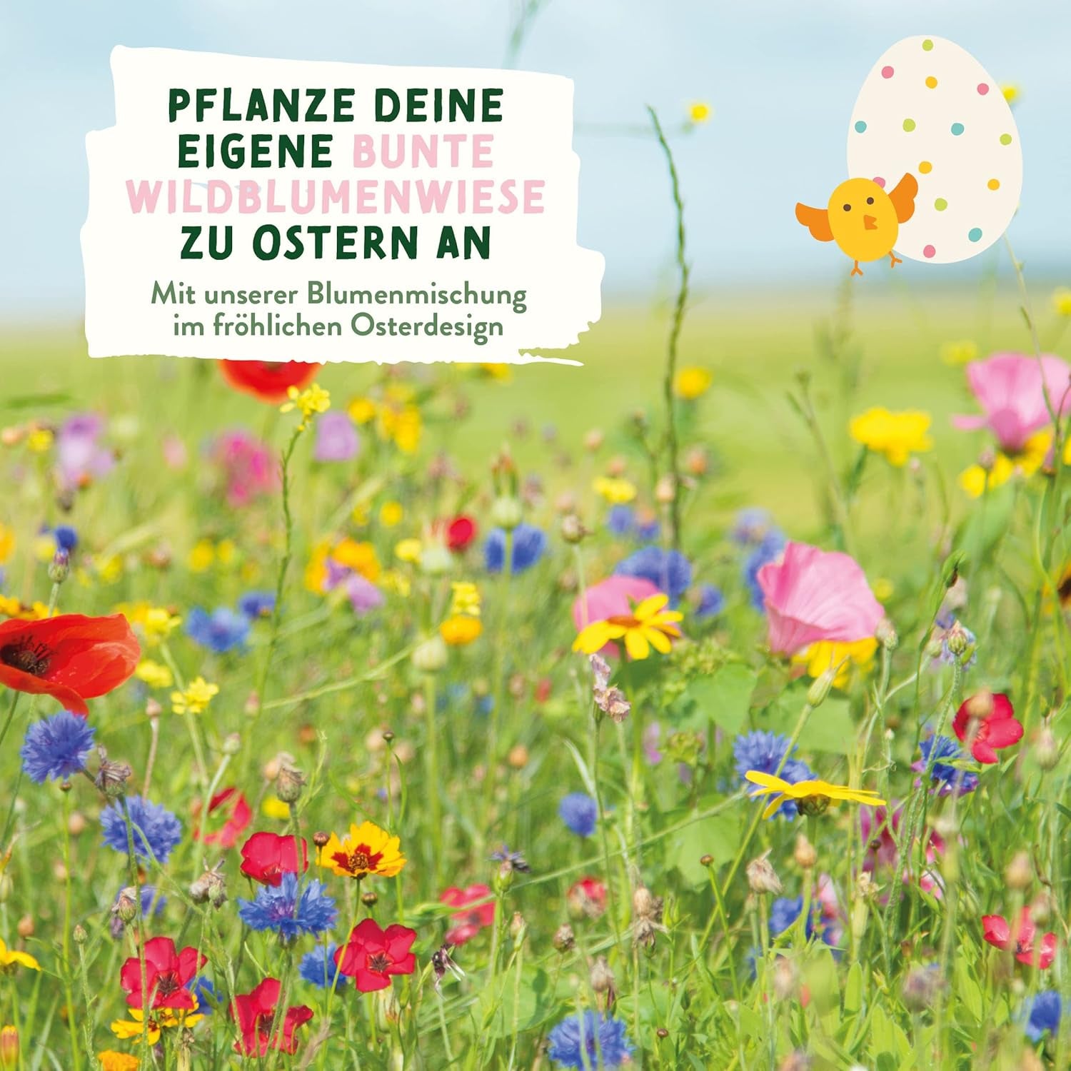 Blumensamen Wildblumenwiese I Blumen Saatgut Als Ostergeschenk, Ostergras Samen I Blumen Samen Oster Geschenk U. Oster Geschenk Kinder I Wildblumen Samen I Blumensamen Tütchen Für Blumenwiese