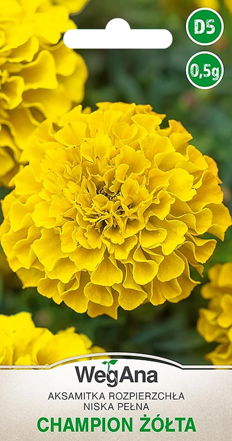 Cosmos Sensation Mix 1g semillas, Cosmos Mix Flores de verano, Plantas de jardín Plantas de balcón, Semillas de flores