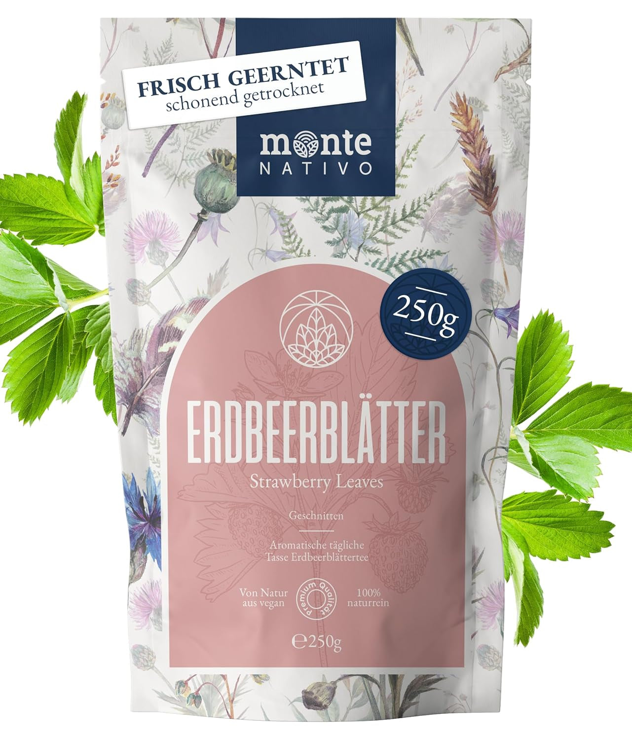 Pudră Matcha Bio Monte Nativo (100G) - Ceai Matcha pentru Latte - Ceai verde premium - 100% natural și fără aditivi