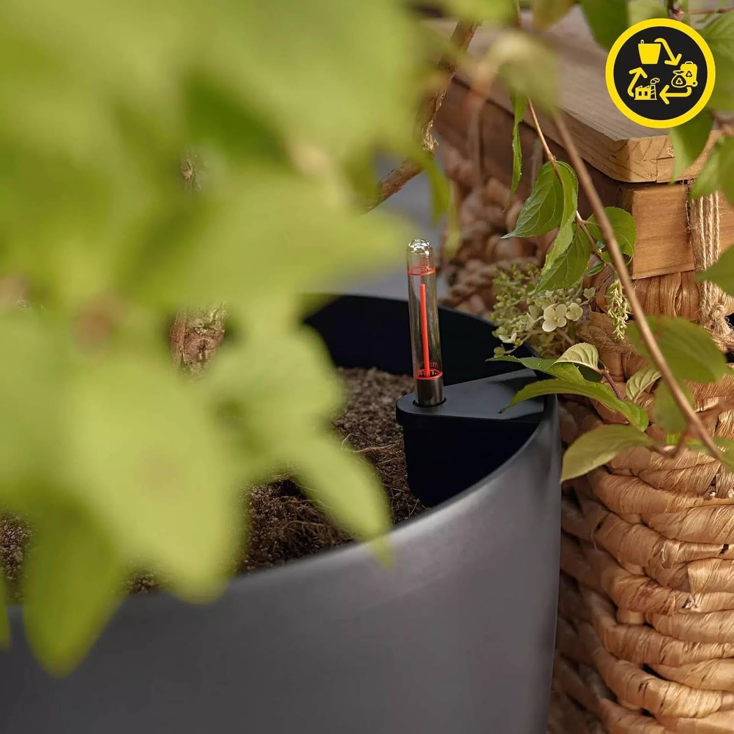 Jardinieră LECHUZA Classico Color ECO 60 Gri Închis | Jardinieră cu sistem de udare și indicator al nivelului apei | Fabricată din plastic 100% reciclat | Finisaj mat | Ø 60 x 55,5 cm | 18955