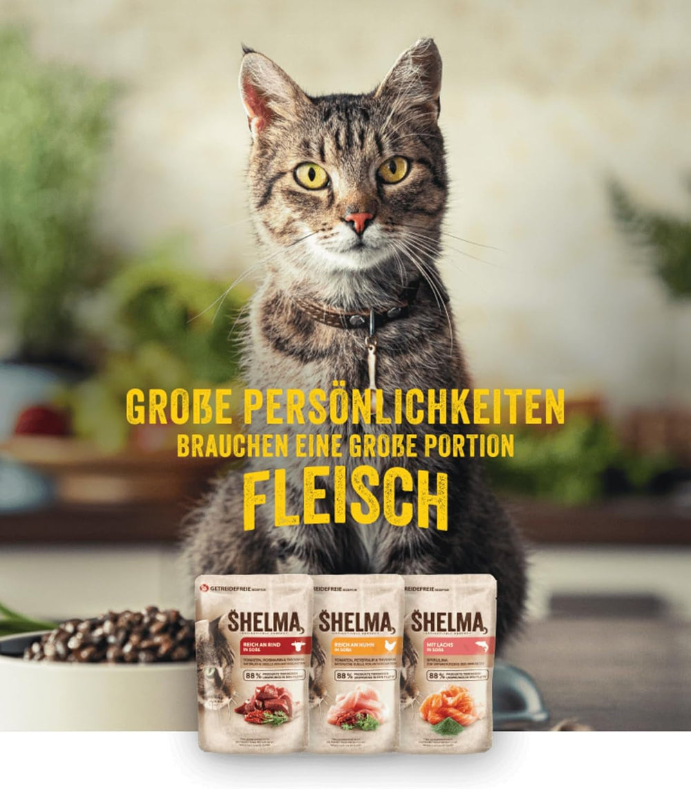 Hrană umedă pentru pisici Shelma cu pui în sos cu roșii și ierburi – Hrană completă fără cereale cu conținut ridicat de carne – 28 x 85 g (2,38 kg)