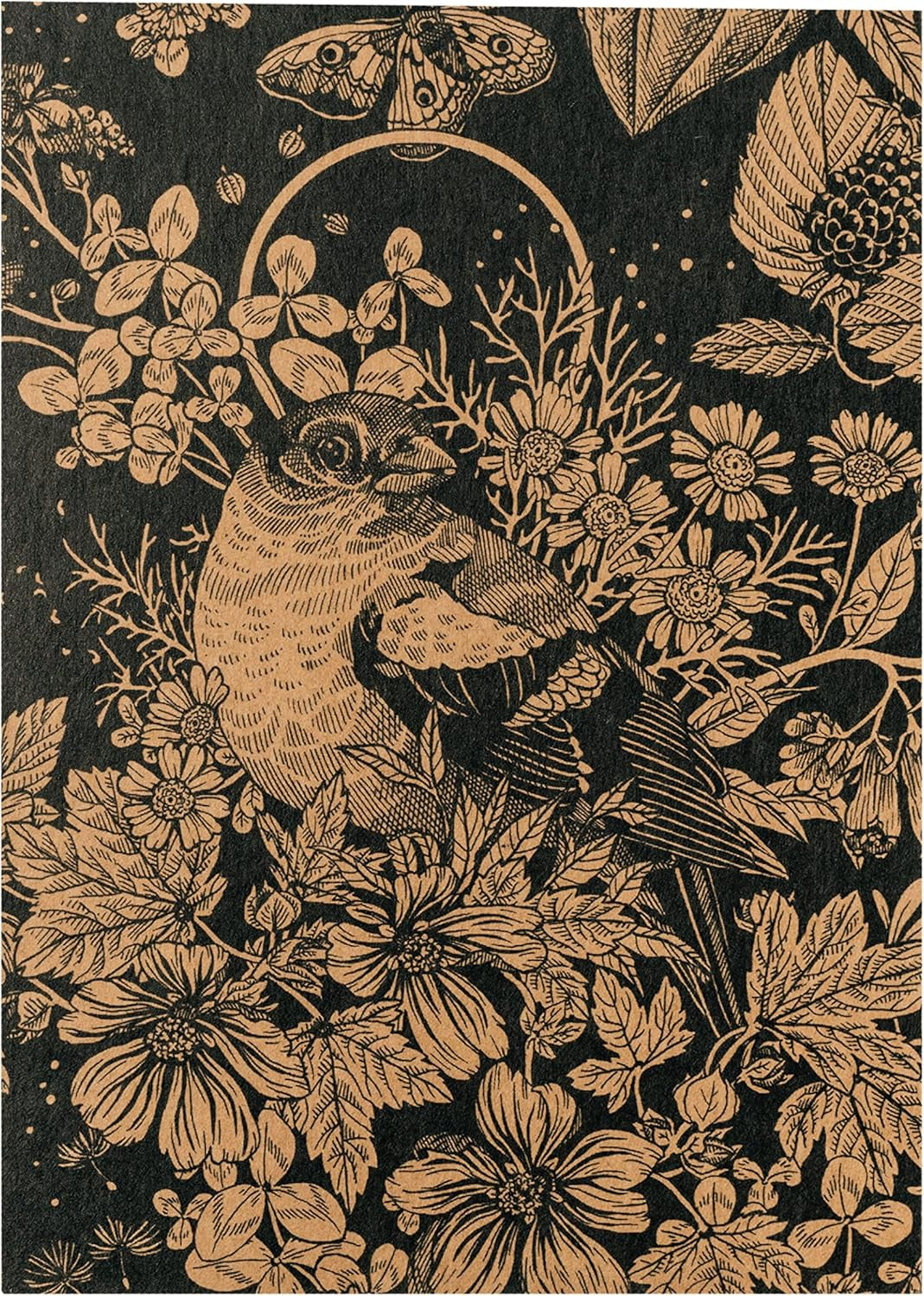 Nuestras plantas favoritas: plantas perennes y flores de verano para amantes de las flores (orgánicas) - Set de regalo de semillas con 6 hermosas variedades para una explosión floral salvaje - ¡te hace feliz!