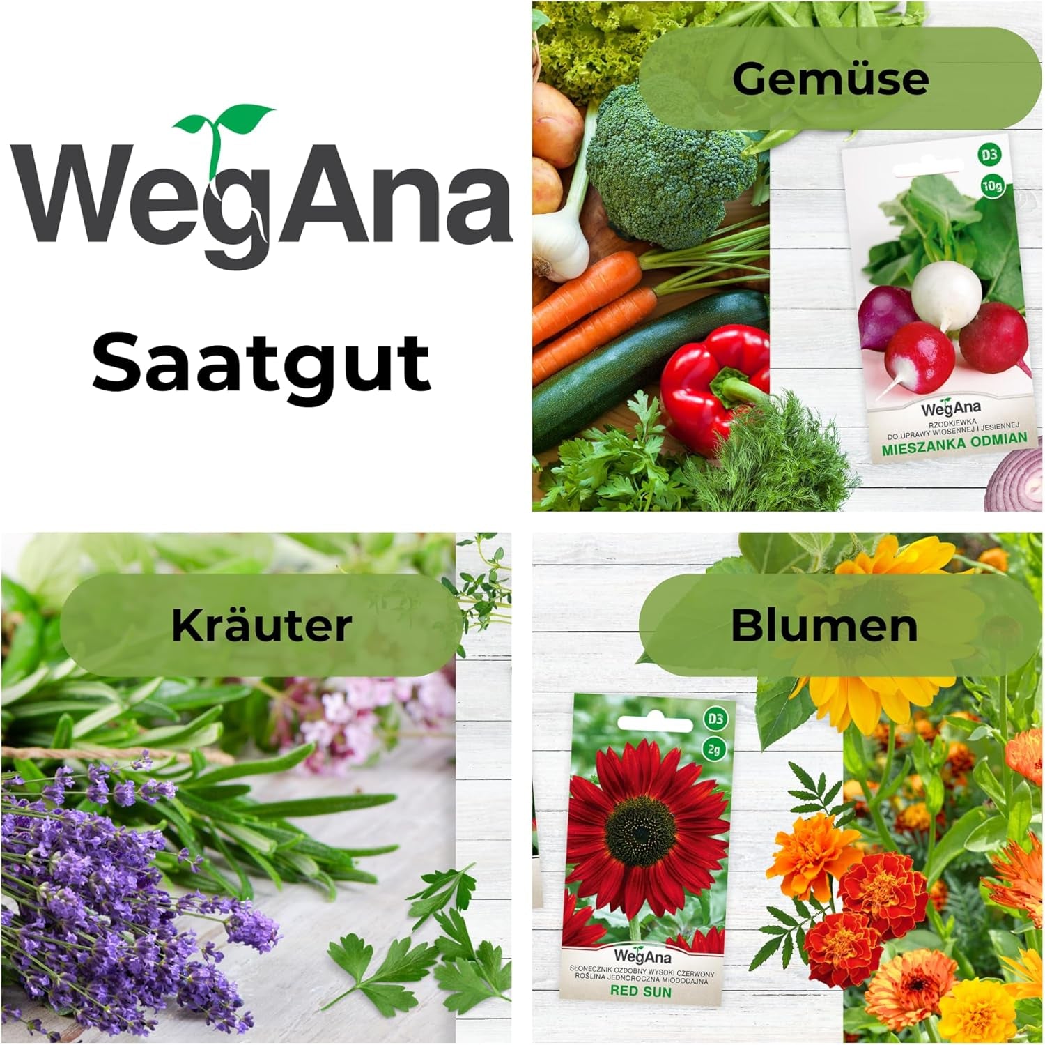 Cosmos Sensation Mix 1g semillas, Cosmos Mix Flores de verano, Plantas de jardín Plantas de balcón, Semillas de flores