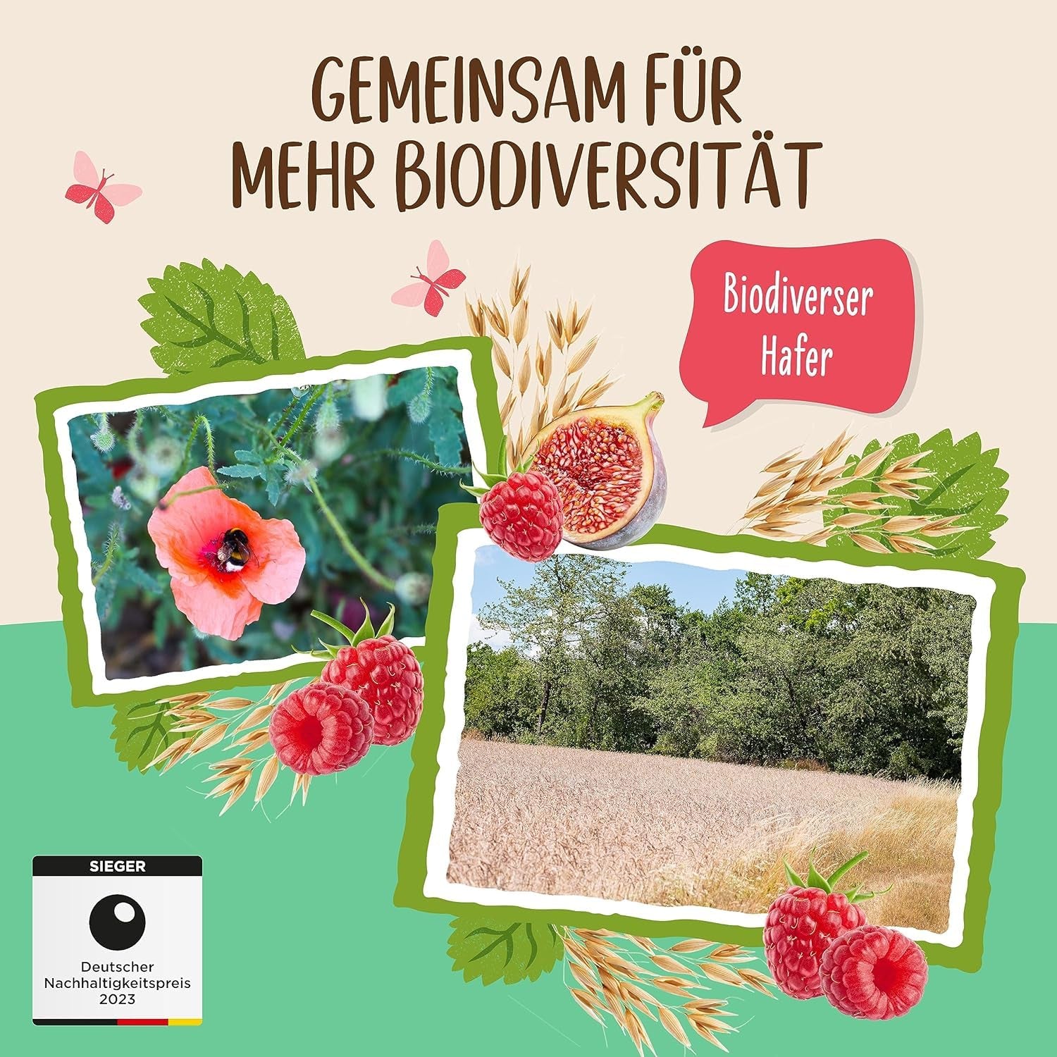 Gachas de Allos de higos y frambuesas sin azúcar | Gachas sin azúcar | Muesli orgánico | Muesli con frutas | Avena | Gachas de avena para el desayuno | Cereales para el desayuno | Vegano | Paquete de 6 (6 x 500 g)