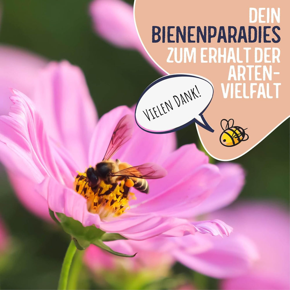 Blumenwiese Samen I 200 g I Blumensamen mehrjährig I Samen für Bienen Blumenmischung I Wildblumensamen f. Balkonblumen, Wildblumen I Wildblumensamen mehrjährig winterhart como Bienenweide