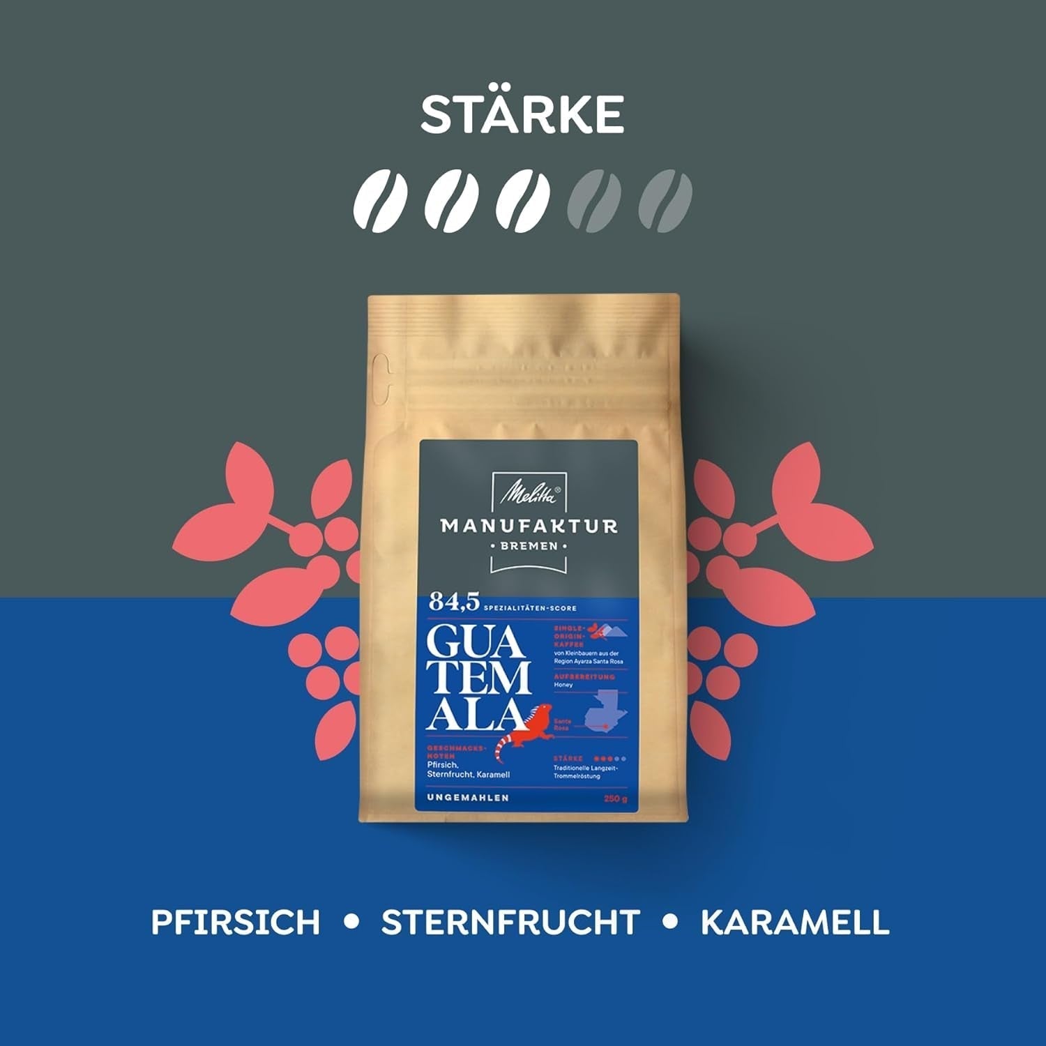 Melitta Manufaktur-Kaffee Guatemala Honey, cafea specială, 250G, boabe de cafea întregi, nemăcinate, cafea de origine unică, prăjire delicată cu tambur, prăjită în Germania, tărie 3 Cafea Naty Shop