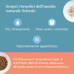 Hrană umedă pentru pisici adulte, fileuri de pui în fileuri și jeleu 100% natural, pachet de 6 cutii x 85 g