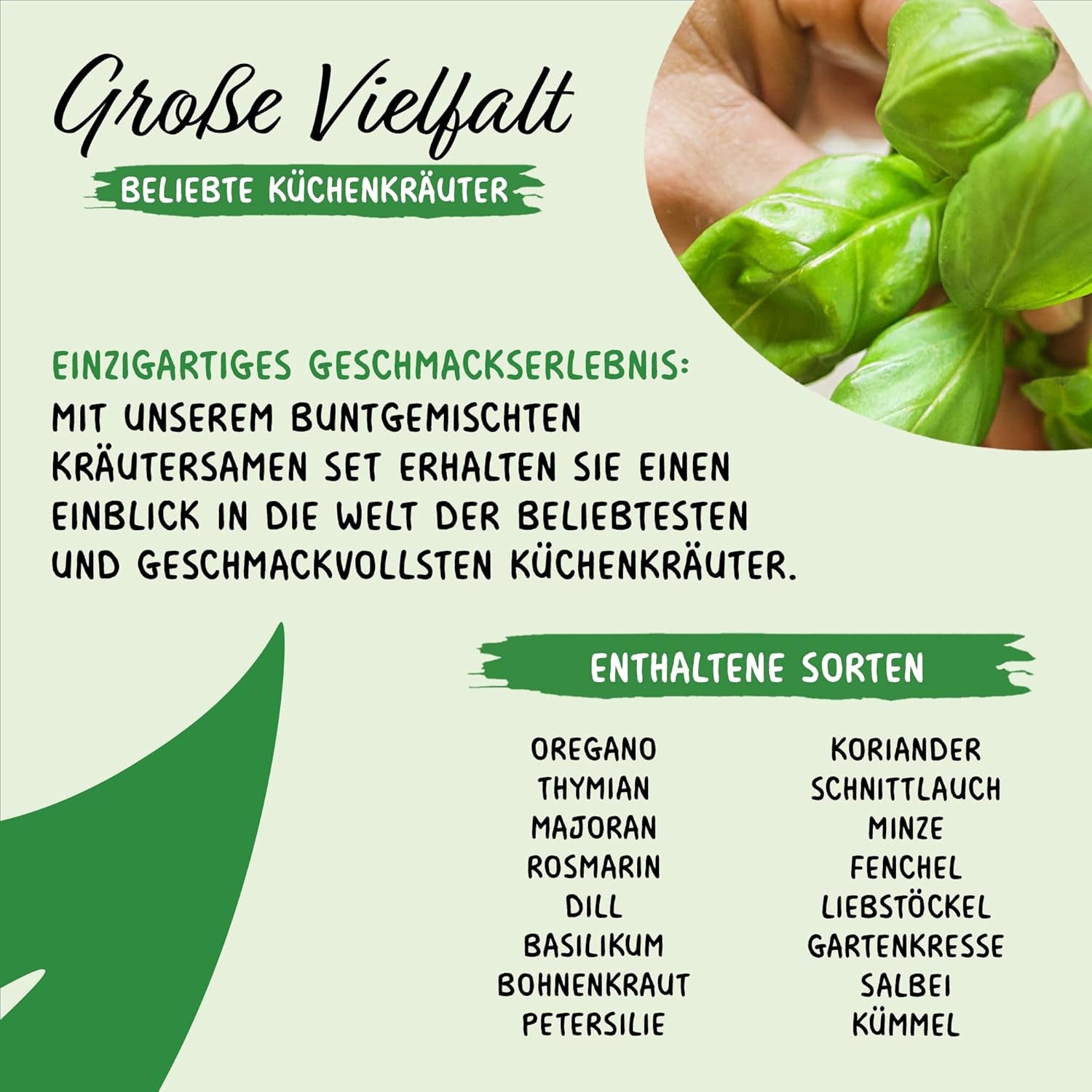 Prademir – Kräutersamen Set aus 16 beliebten Küchenkräutern – Kräuter Anzuchtset mit 100% Natursamen aus Portugal – Kräuter Saatgut con orégano, tomillo, mejorana, rosamarina, eneldo, albahaca, salvia uvm