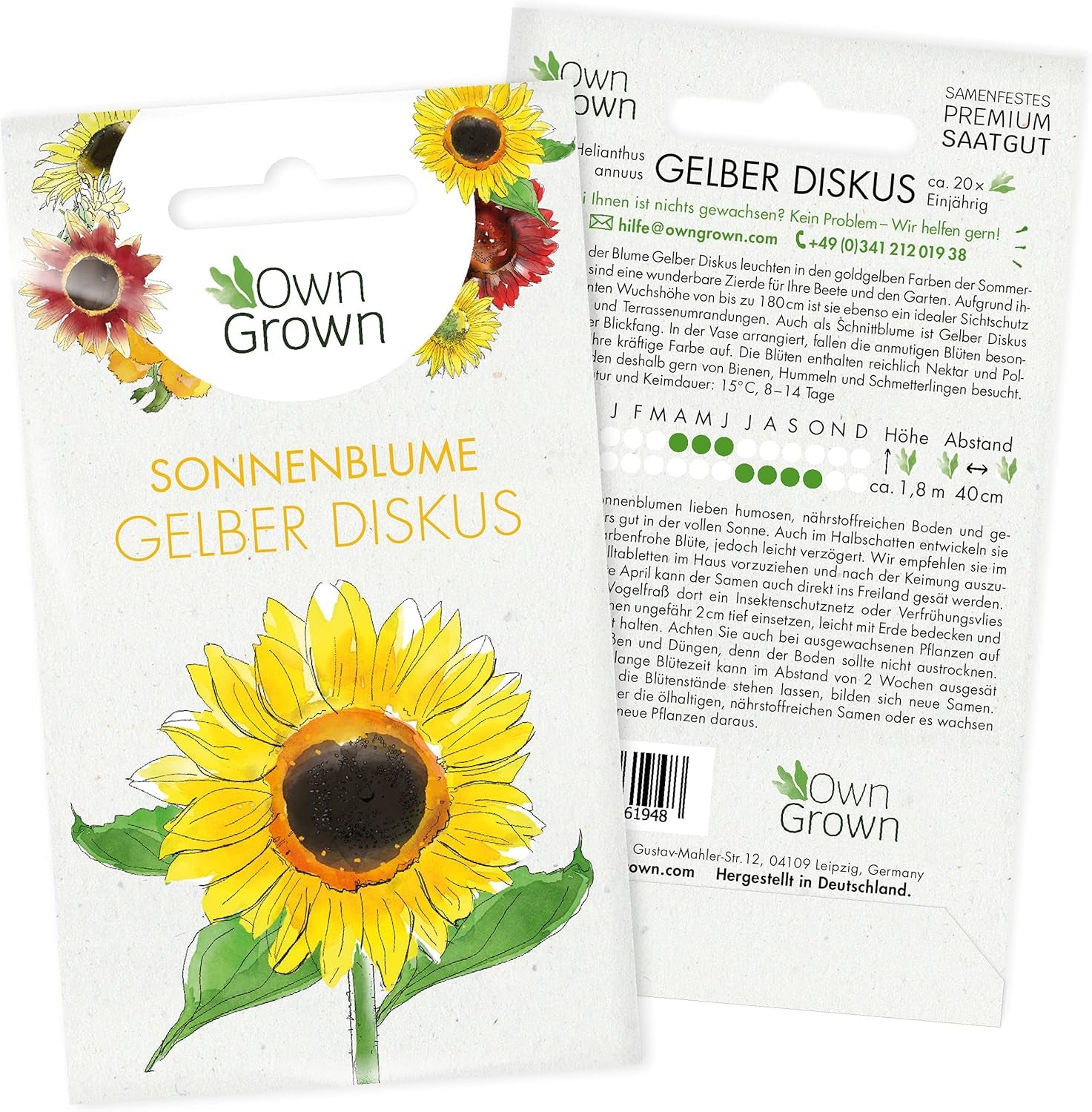 Semillas de girasol de disco amarillo (Helianthus annuus): Semillas de girasol de primera calidad, Semillas de girasol para cultivar unas 20 plantas de girasol - Semillas de flores aptas para insectos de OwnGrown