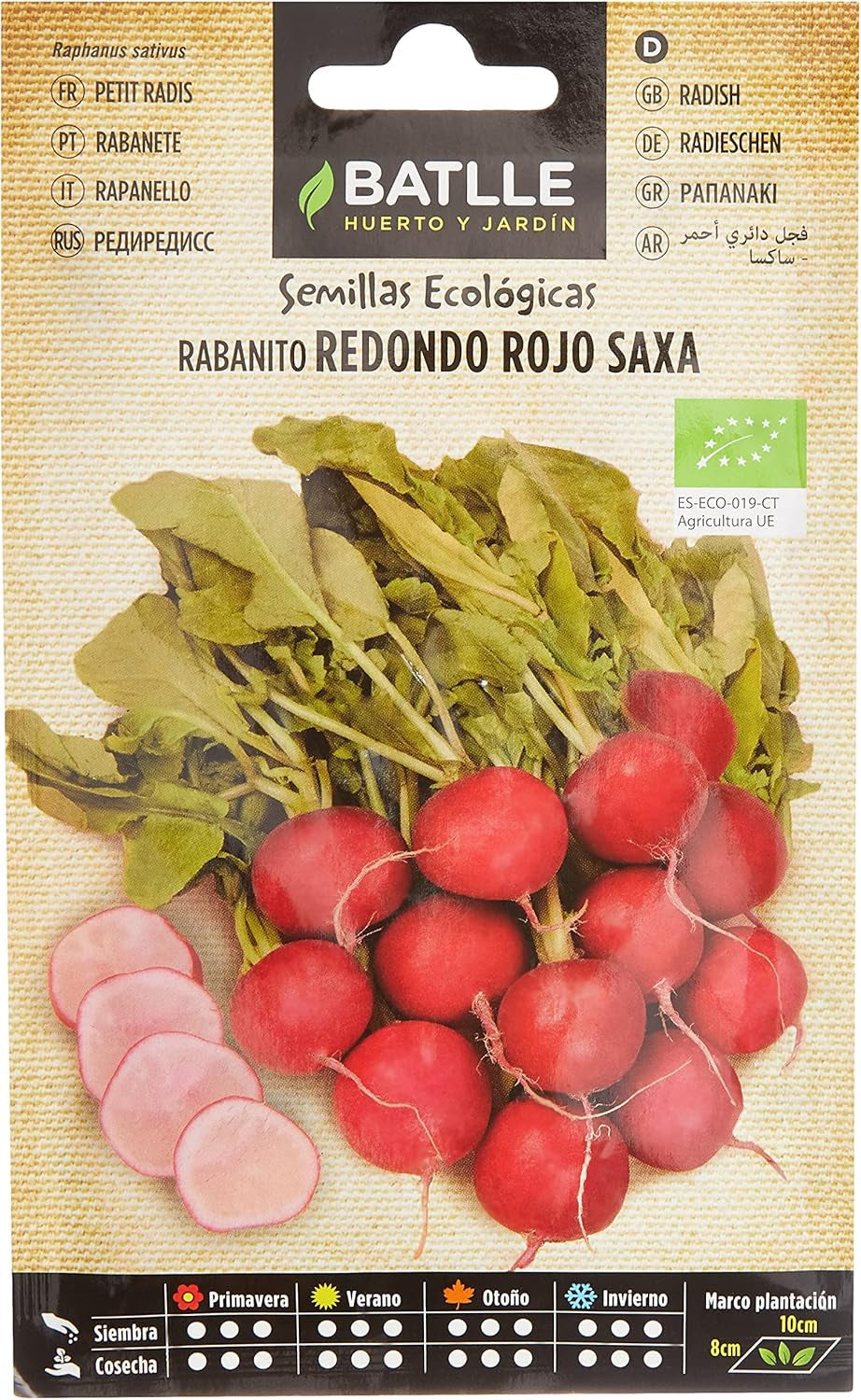 Bio Samen - Runde Rote Radieschen Saxa (120 Samen - Bio)