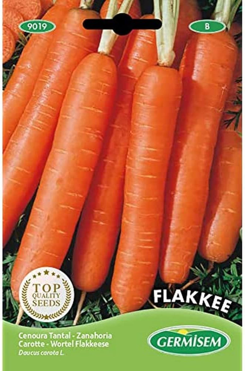 Möhren Flakkee