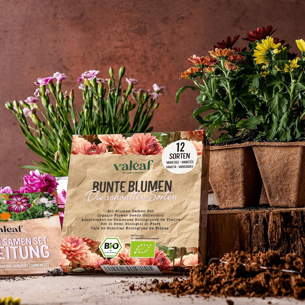 Juego de semillas de flores orgánicas | 12 variedades de semillas de flores | Semillas de flores premium | Juego de semillas de plantas de semillas de flores silvestres | Semillas de flores | Semillas de flores para el balcón | Regalo ideal con semillas de flores.