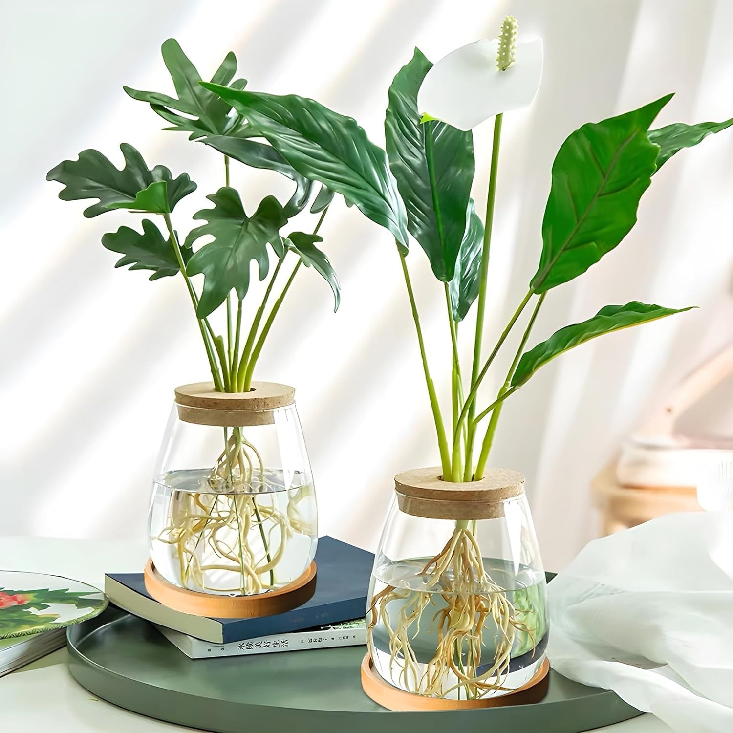 Estación de cultivo de plantas hidropónicas 12x11cm Florero de semillas de aguacate Macetero de vidrio Florero de vidrio hidropónico para plantas acuáticas o flores Decoración de mesa de escritorio 2 piezas