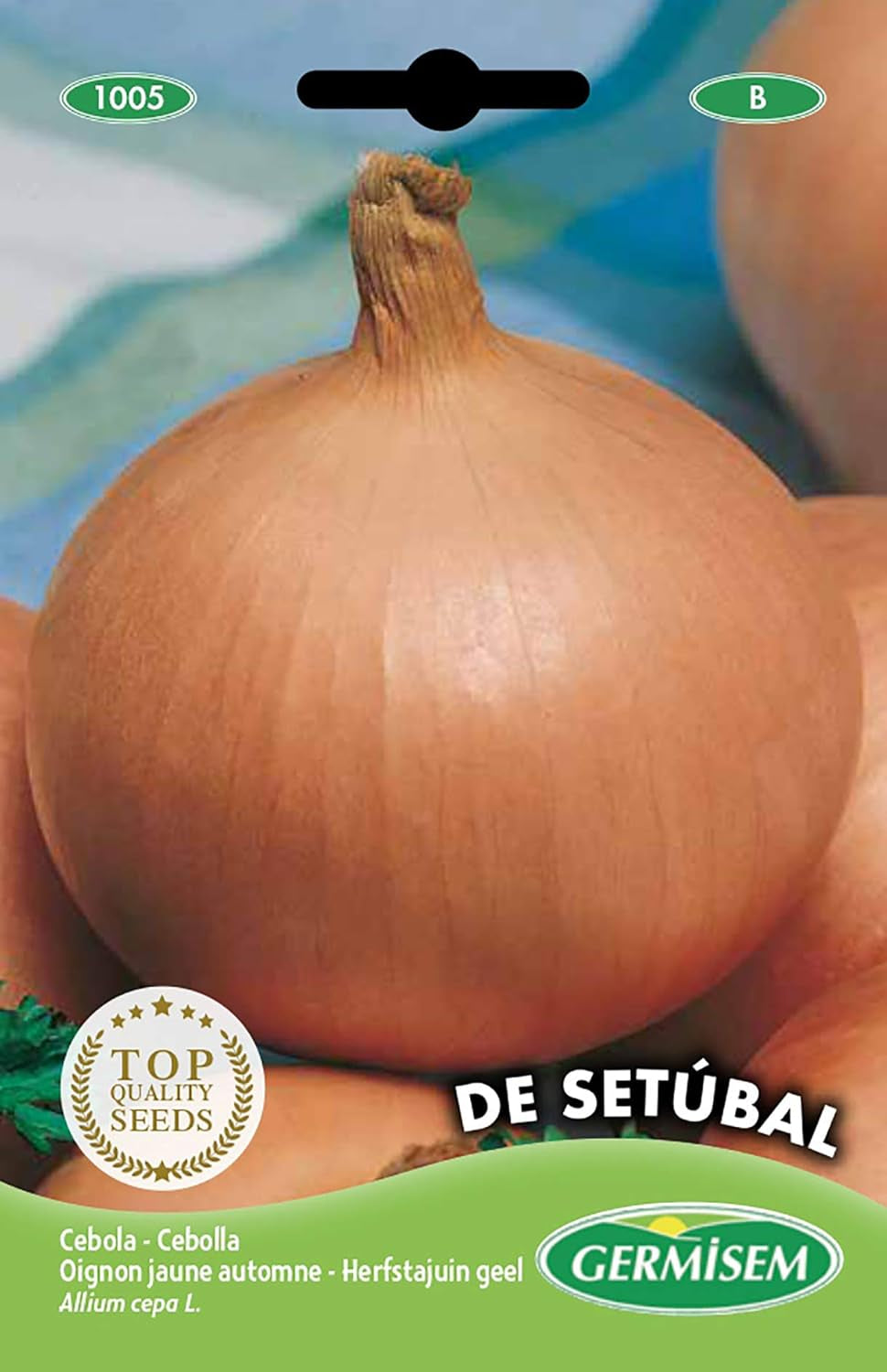 Zwiebel VALENCIANA SETÚBAL EC1005 Mehrfarbig