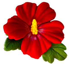 Flor de hibisco comestible – decoración para tartas 9,5 cm hecha a mano