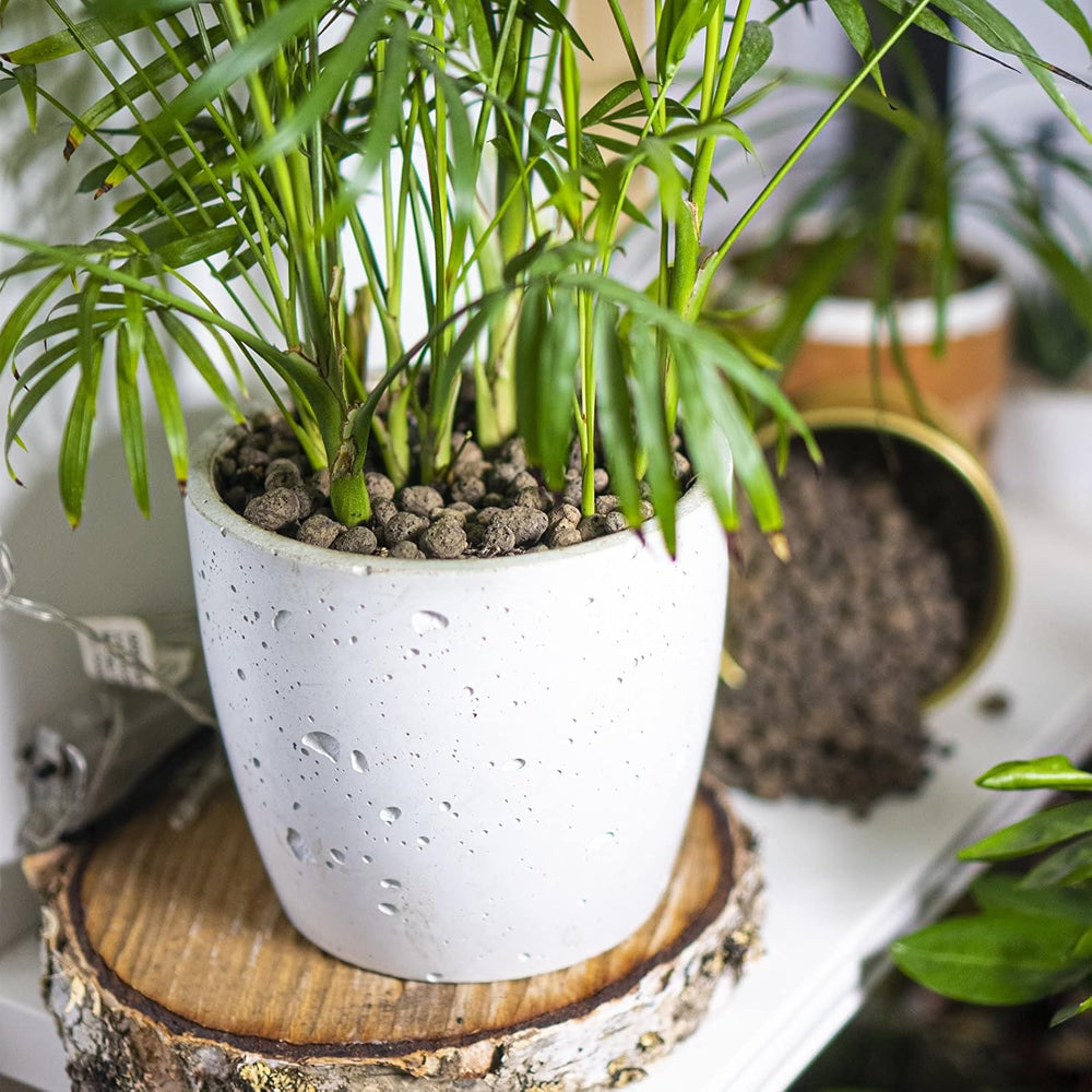 Brownin 749950 Keramsit - arcilla expandida 4 L, 10-20 mm, marrón