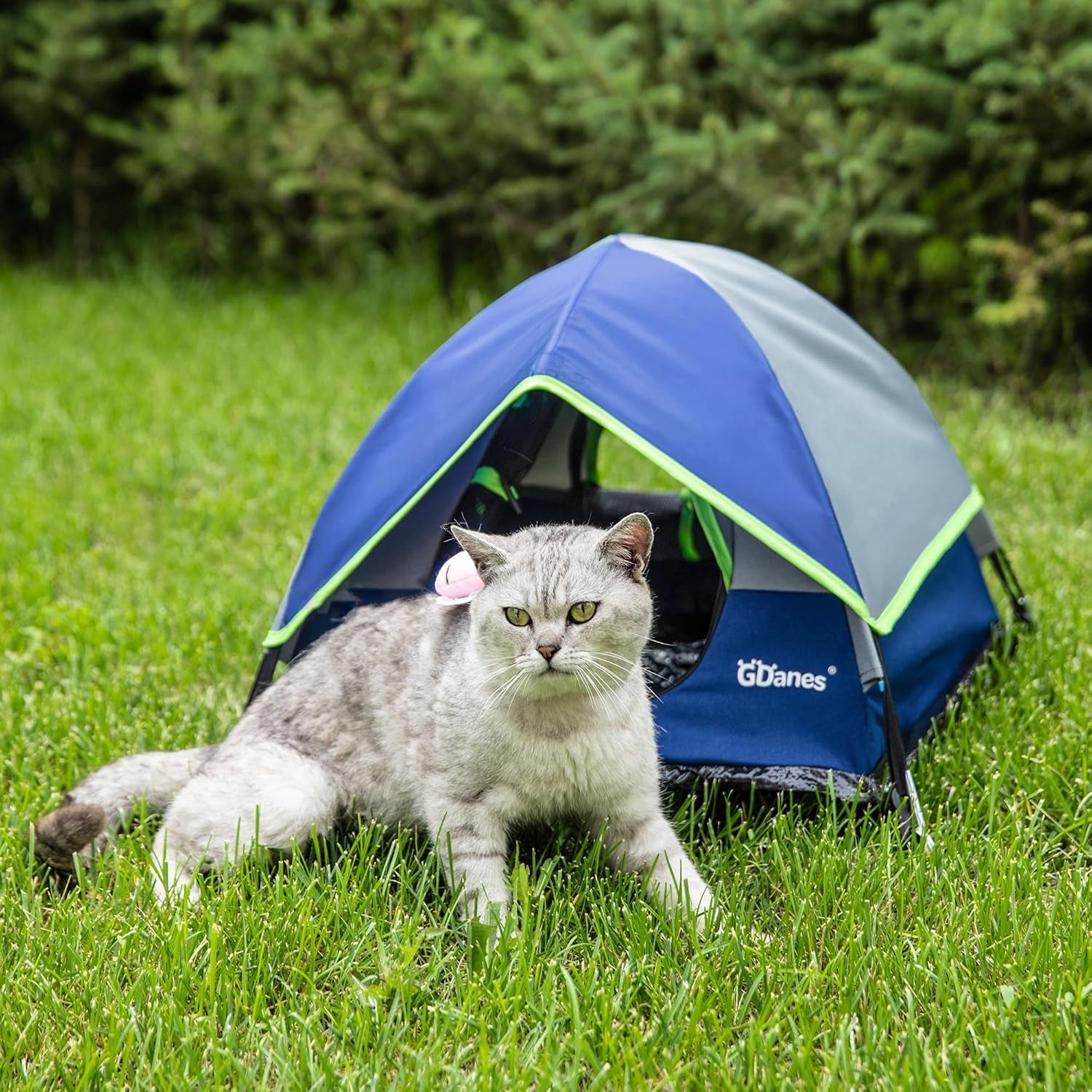 Pături & Mobilier, Animale de companie, Peșteri & Case, Pisici, Paturi pentru pisici, Pisici - culcusuri, saltele