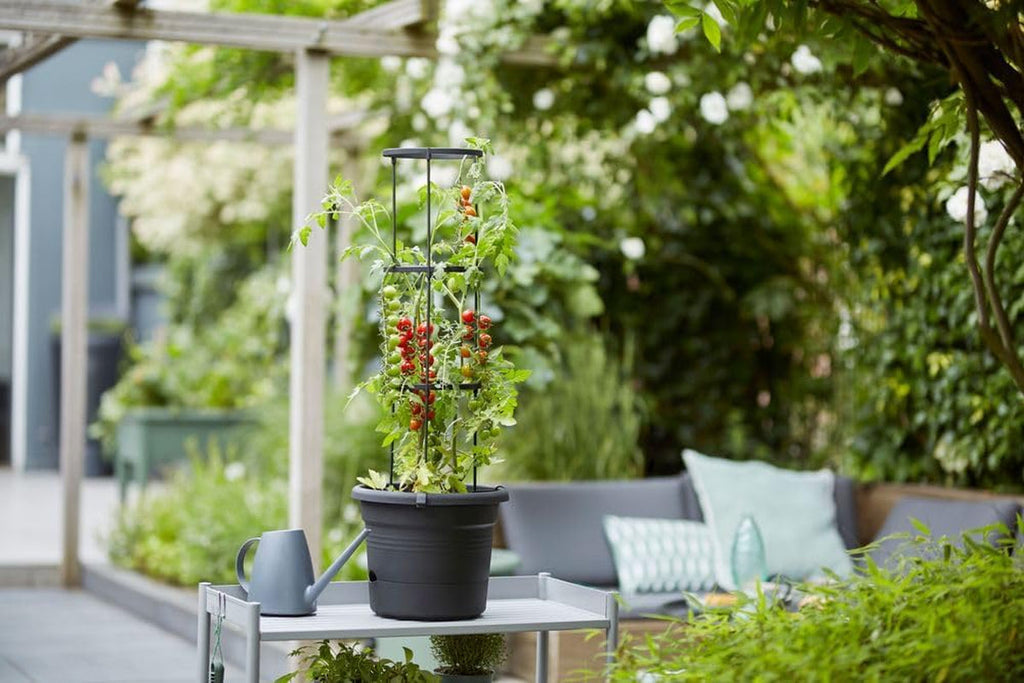 elho Green Basics Ghiveci de roșii 33 - Ghiveci de flori pentru cultivare și recoltare în aer liber - Ø 33,5 x H 26,0 cm - Negru/Negru viu