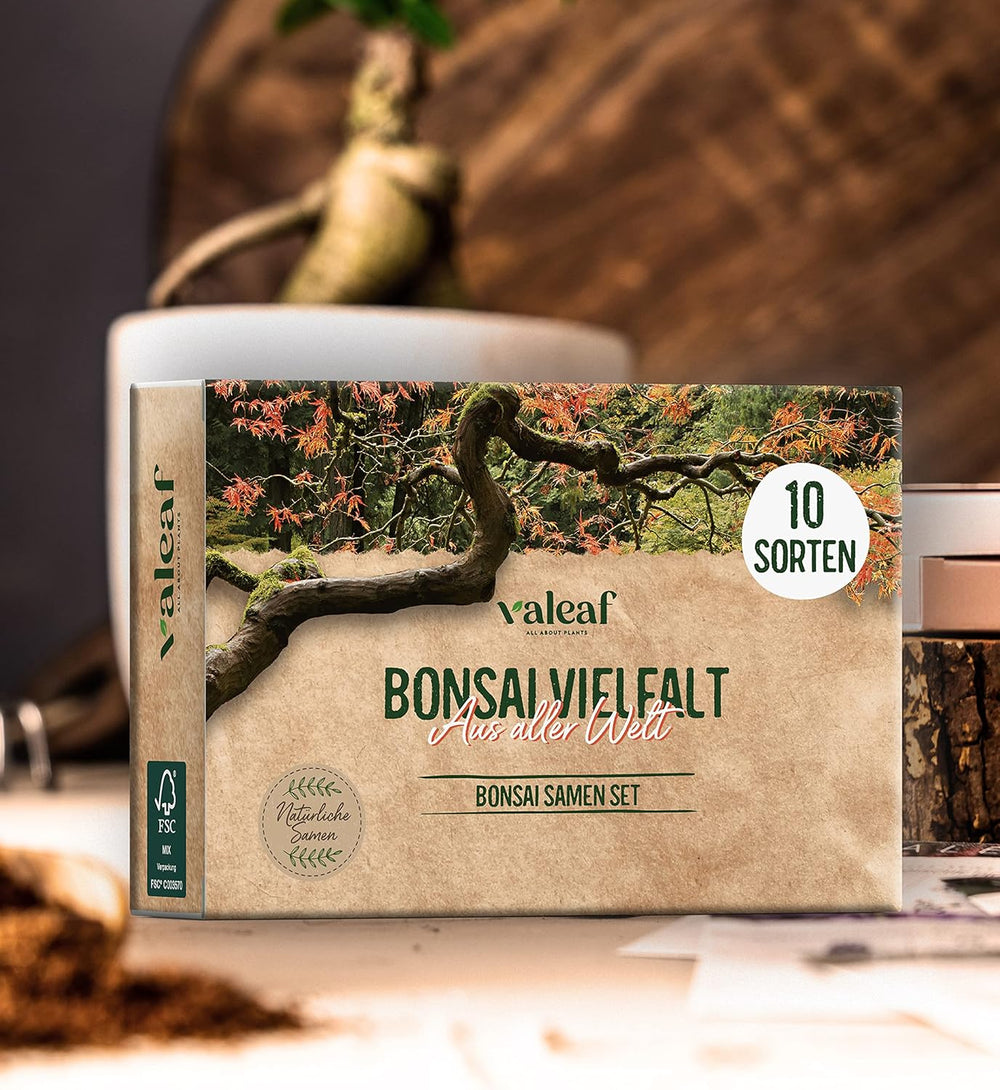 10 Semillas de Bonsái de 5 Continentes | Semillas de árboles exóticos para tu bonsái único | Kit de inicio y entusiastas de las plantas | Nuestro set de bonsái como idea de regalo especial