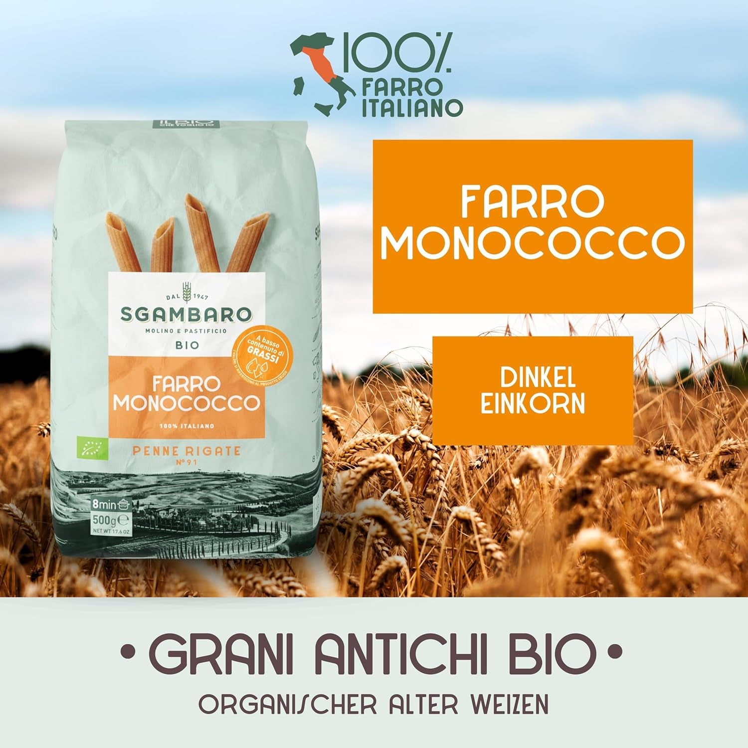 Pasta Penne Rigate Bio N.91 - 500g Pasta de trigo baja en grasa - Fuente de fibra y proteínas