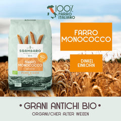 Pasta Penne Rigate Bio N.91 - 500g Pasta de trigo baja en grasa - Fuente de fibra y proteínas