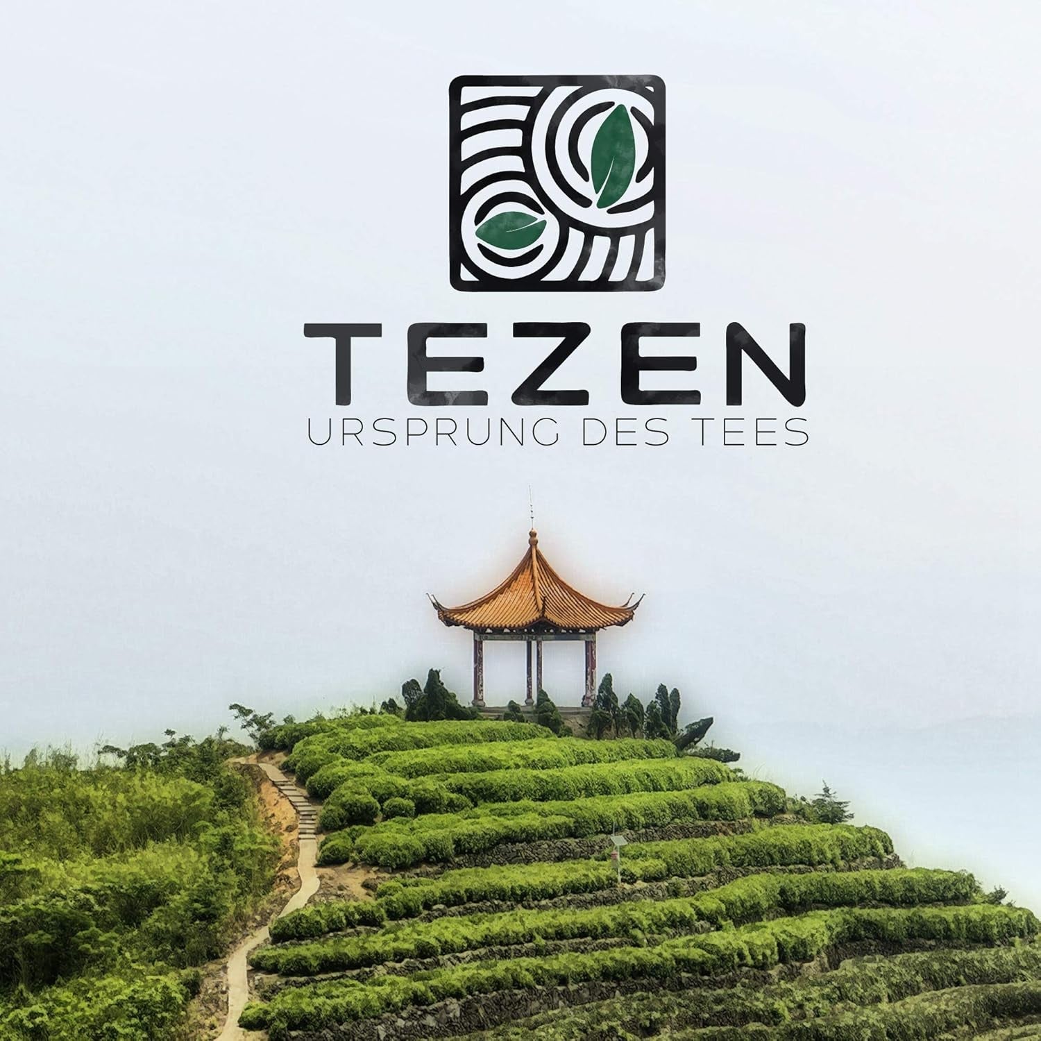 Ceai Oolong Da Hong Pao (organic) din Wuyishan, China | Recolta 2024 | Ceai Oolong organic chinezesc de înaltă calitate | Specialitate tradițională de ceai (50)