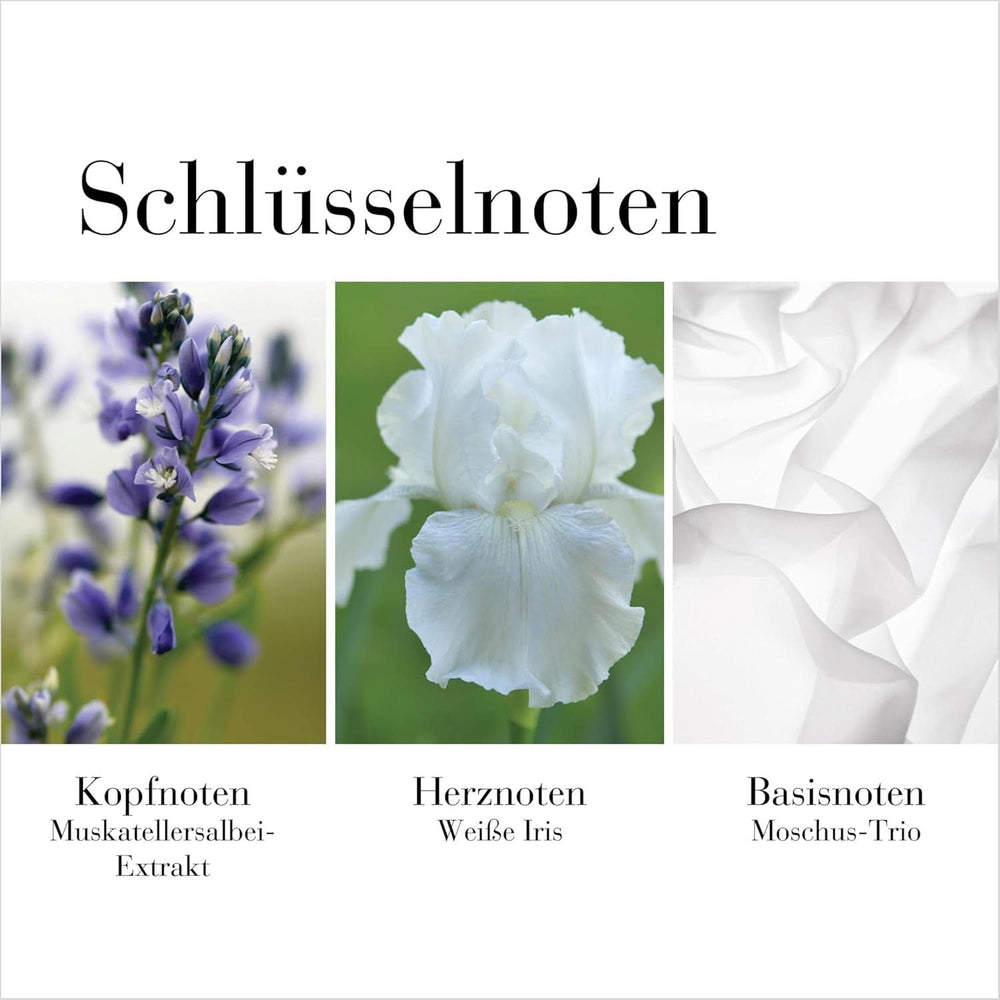 Elizabeth Arden - Té Blanco, Crema corporal, con sabor a té blanco, 400 ml Cosmética y Belleza Naty Shop