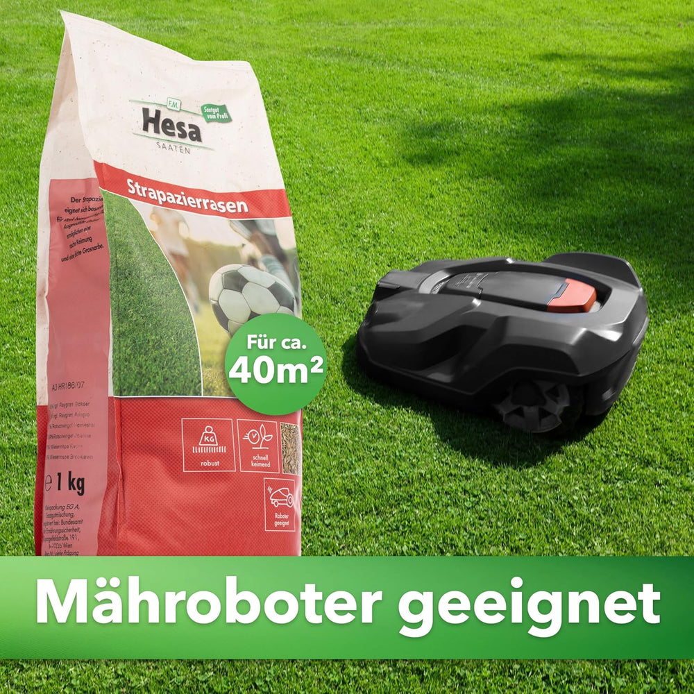 Hesa Sportrasen, 1 Kg Strapazierrasen Für Ca 40 M², Schnellkeimende Premium Rasensamen Für Starke Beanspruchung, Fussballrasen, Sportplatzrasen in Profiqualität, Auch Für Nachsaat