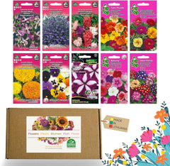 Nojus Set de Semillas de Flores - 10 Variedades de Semillas de Flores - Semillas de Flores para Balcón - Semillas de Plantas Coloridas - 10 Paquetes - Semillas de Flores Silvestres - Bolsitas de Semillas de Flores - Regalo Ideal de Semillas de Flores
