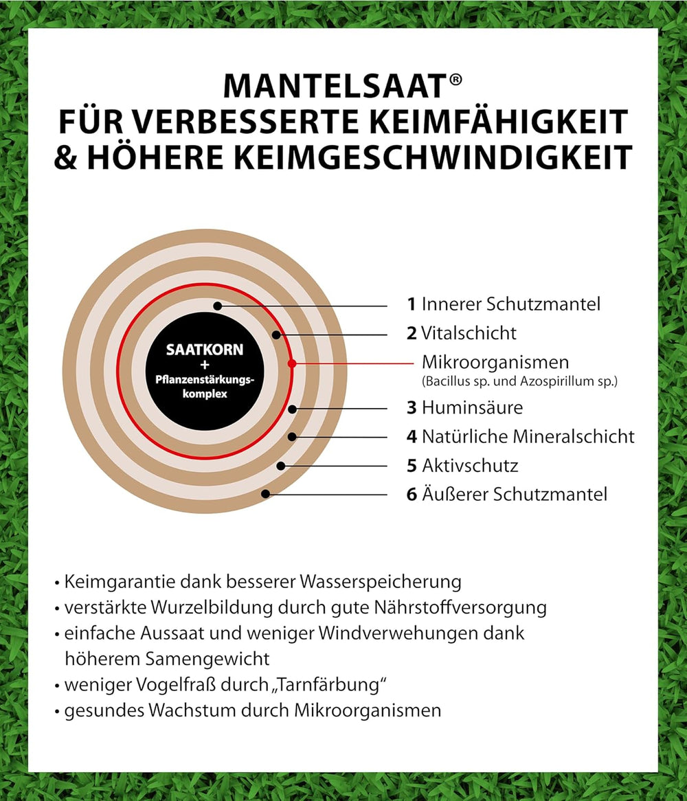 Dehner Saatgut Trockenrasen, Hochwertige Rasensamen Für Strapazierfähigen/Trockenheitsresistenten Rasen, Schnell Keimend/Pflegeleicht, Ideal Für Heiße Sommermonate, 3 Kg Für Ca. 100 M²
