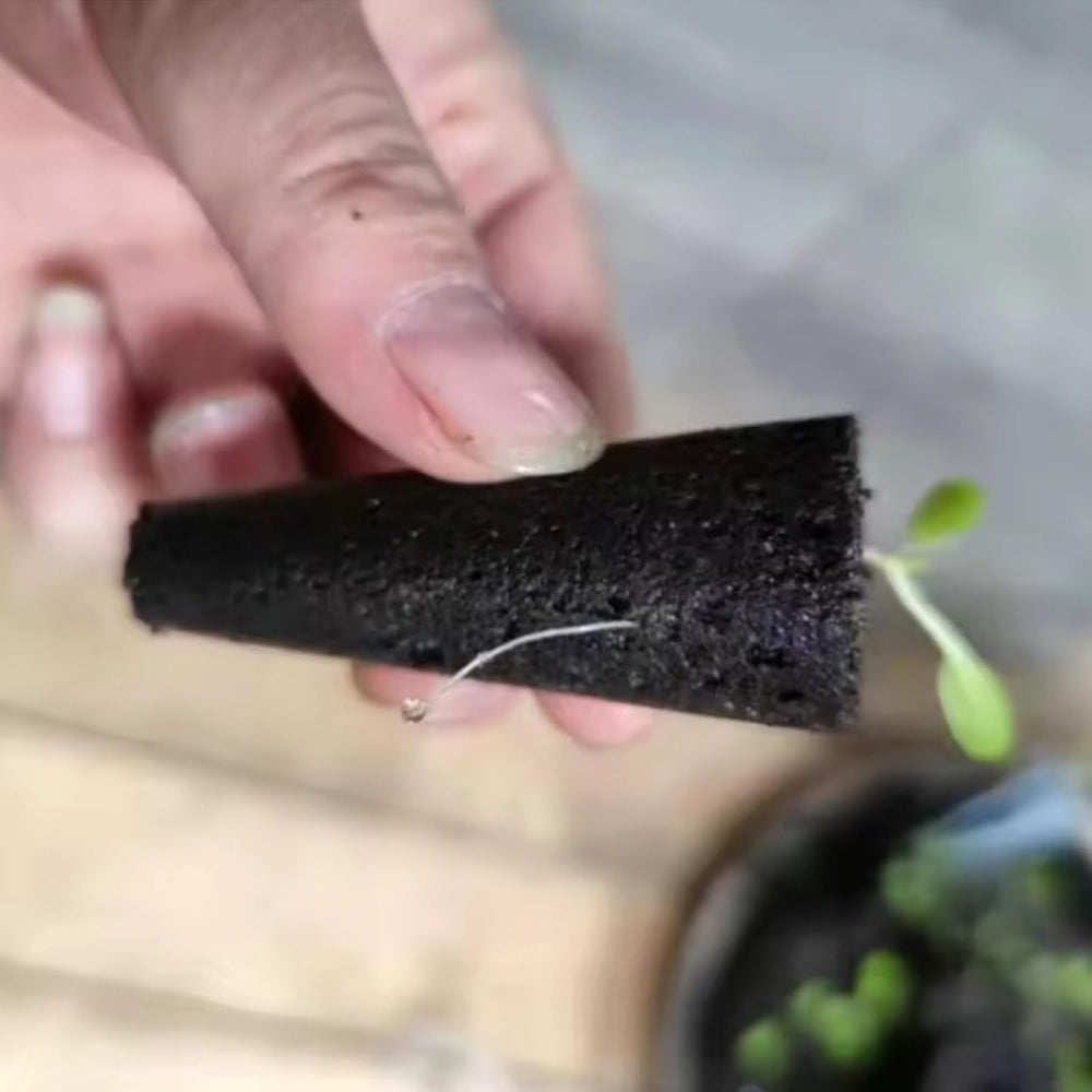 50 Esponjas de Cultivo de Repuesto, Tubos de Establecimiento de Semillas, Tapones de Esponja para Cultivo de Raíces, Kits de Cultivo Hidropónicos para Sistemas de Cultivo Hidropónicos, Hidropónicos de Interior, Jardín