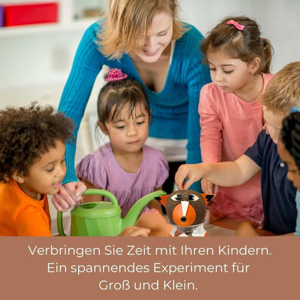 Bada Bing Graskopf Juego de 4 piezas incl. Wasserbehälter Waldtiere DIY Tiere – Rasenkopf Tierkopf mit Rasensamen – Experiment für Kinder – Spaß mit Lerneffekt – Geschenk Mitbringsel Kindergeburtstag Mitgebsel