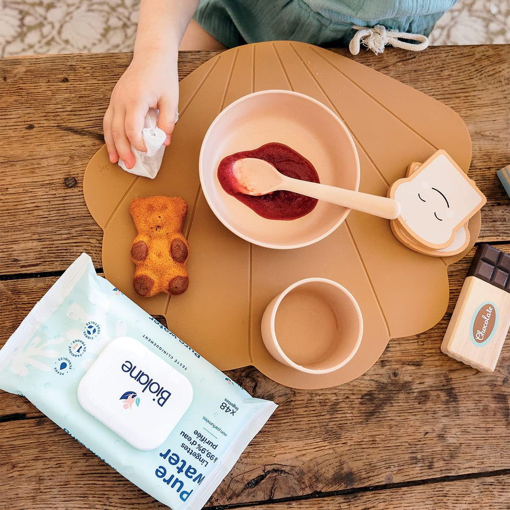 BIOLANE - Toallitas húmedas para bebés con 99,9% de agua - Agua pura - Paquete de 12 x 48 (576 toallitas) - Para pieles sensibles - Desde el nacimiento - Sin perfume - Cuidado para cambiar y limpiar al bebé