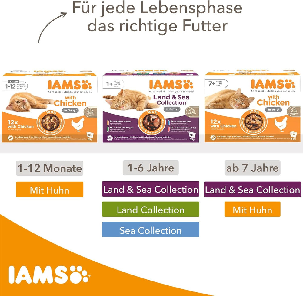 IAMS Delights Hrană umedă pentru pisici senior - Pachet multiplu cu pui și pește în sos, hrană umedă de înaltă calitate pentru pisici mai în vârstă de la 7 ani, 12 x 85 g