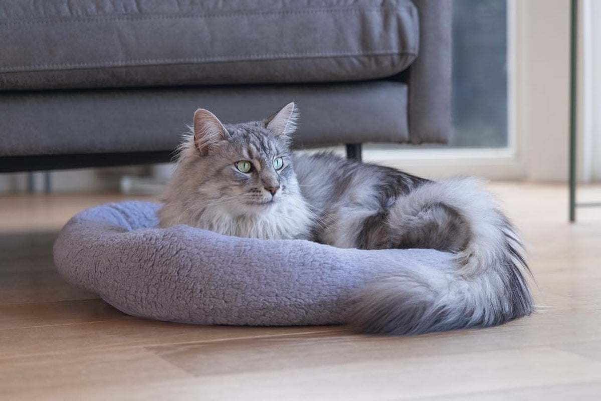 Paturi, cuverturi & mobilier, animale de companie, pisici, paturi pisici, Pisici - culcusuri, saltele