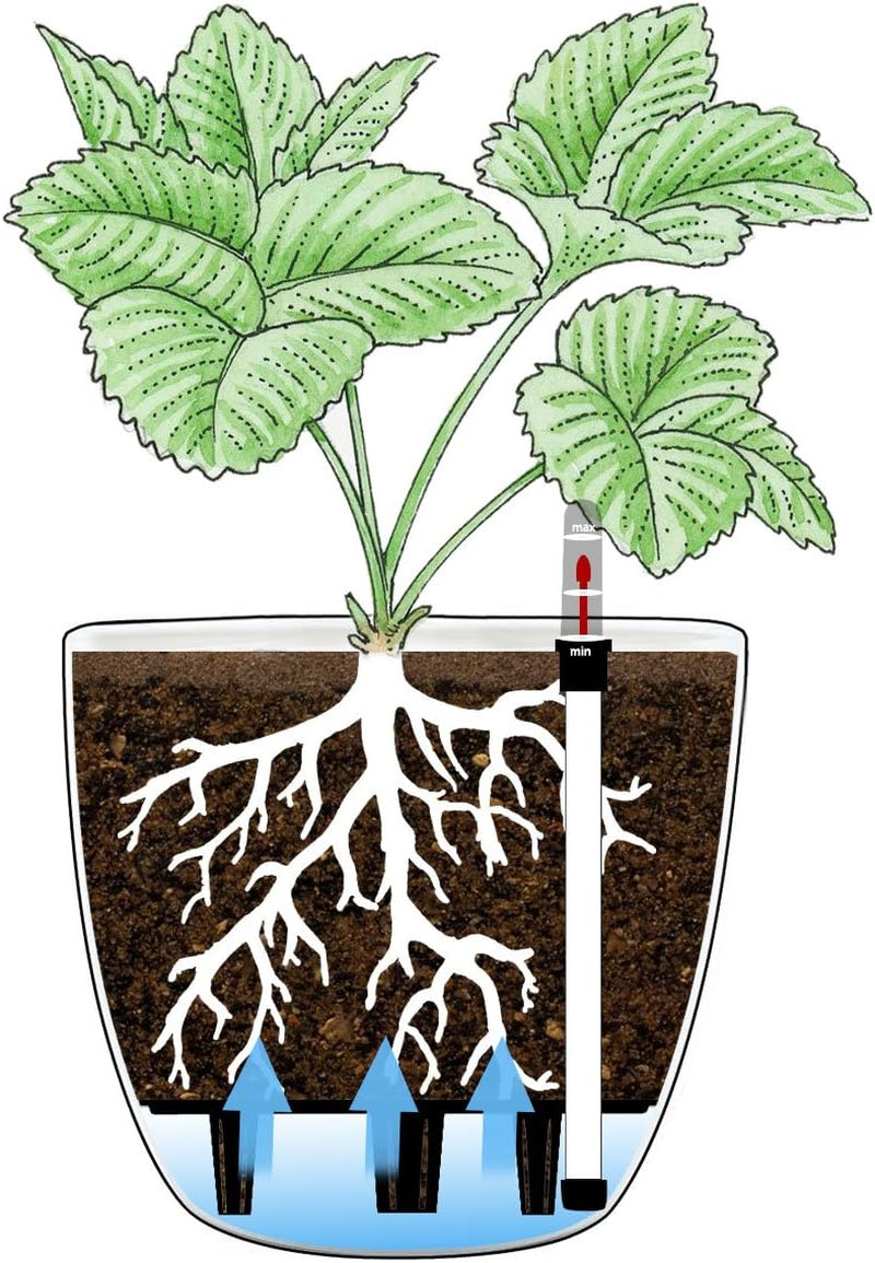 Ghiveci de flori T4U de 15 cm cu auto-udare și indicator de apă, alb, set de 4 ghivece, rezervor de apă cu auto-udare, pentru interior și exterior