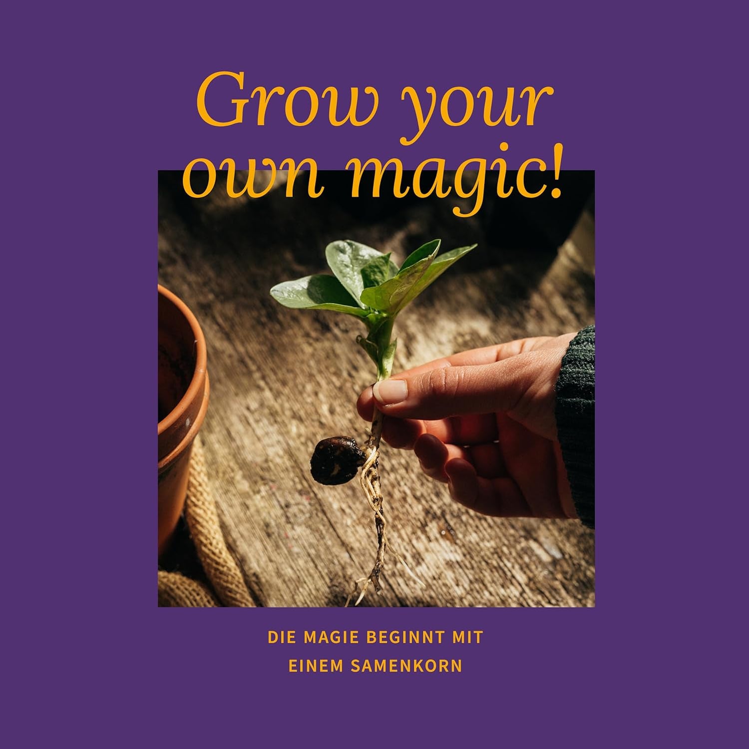 Magic Garden Seeds - Tomaten Raritäten Saatgut-Box Mit 9 Historischen Sorten - Bunte, Aromatische & Samenfeste Tomaten Für Garten, Hochbeet & Topf - Mit Geschichte & Geschmack
