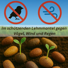Semillas de flores en una capa protectora de arcilla para abejas y mariposas, 400g. Mezcla de flores silvestres perennes y resistentes al invierno para 20 m². Hermosas semillas de flores silvestres para un colorido pasto de abejas. Regalo para niños.
