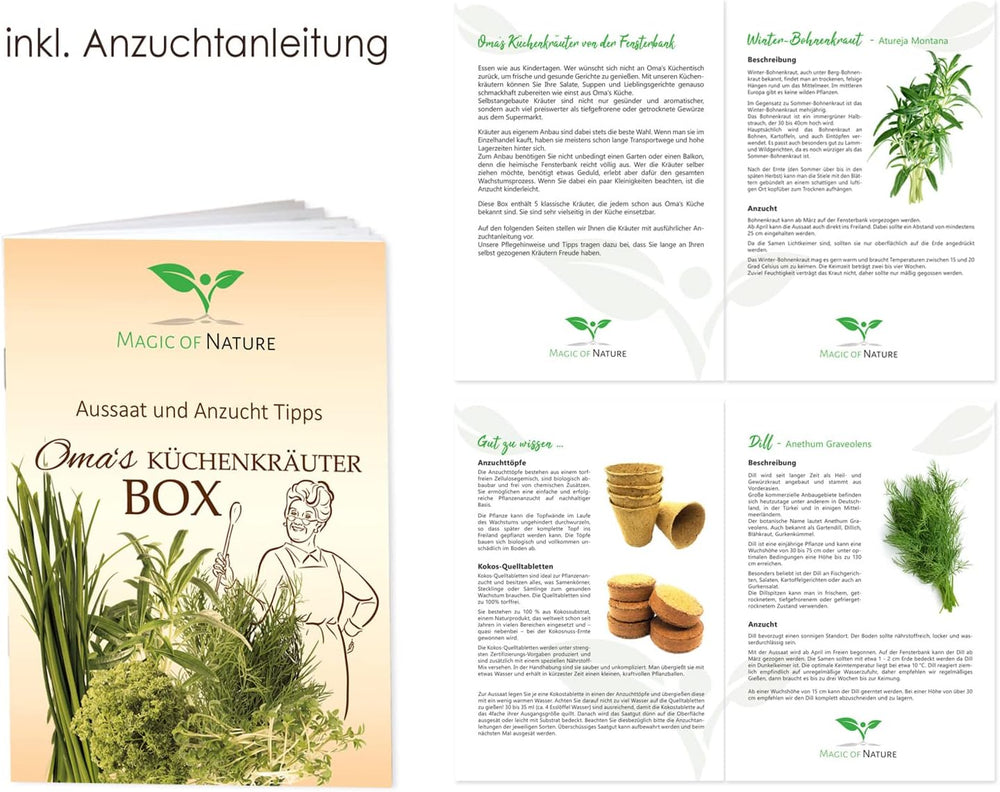 Magic of Nature Oma's Küchenkräuter Box - Anzuchtset - 5 Sorten frische Kräuter Samen - Zum Selberzüchten oder zum Verschenken