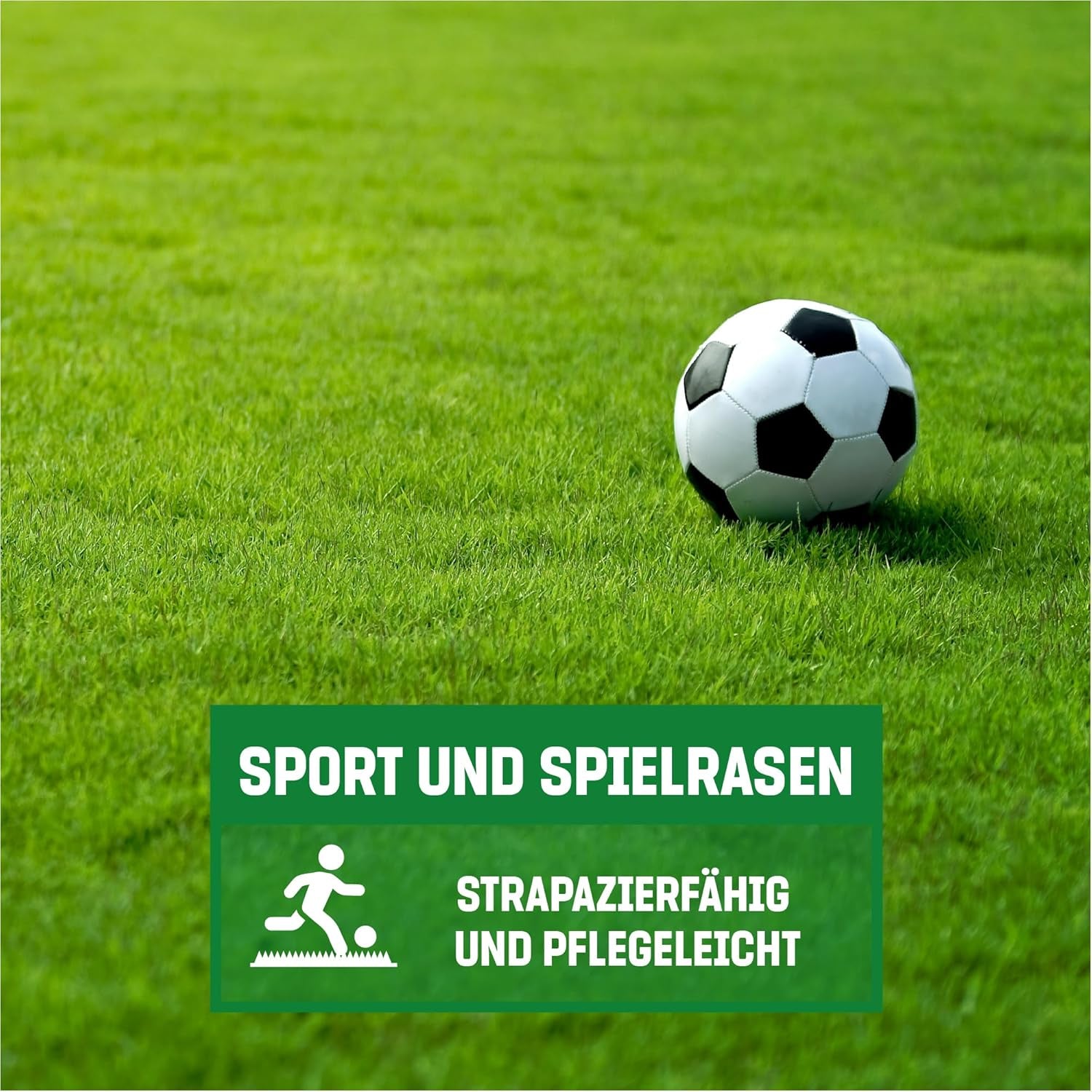 Gardengloss Rasensamen Schnellkeimend Herbst 0,5Kg - Made in Germany - 25M2 Fläche Rasen - Grassamen Turbo Nachsaat Und Neuanlage - Rasennachsaat