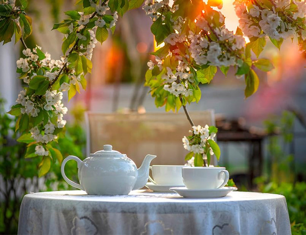 Babcia Jagoda - Ceai de fructe „Fruchtige Verführung” - 20 pliculețe de ceai - Cu hibiscus, măr, aronia, mure, măceșe, coajă de portocală - Aromă intensă de fructe, fără cofeină, vegan, natural, Cay - 40G