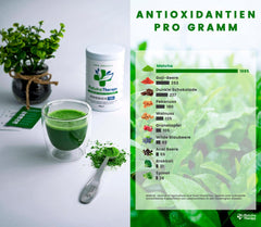 Matchatherapy 30+ | Ceai Matcha organic pudră | 60 g | Cu un conținut verificat de cel puțin 30 mg/g de catechină EGCG | Susține sistemul imunitar și nivelul de energie | Calitate ceremonială | Ceai verde din Japonia