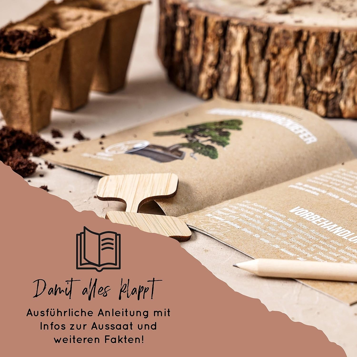 10 Semillas de Bonsái de 5 Continentes | Semillas de árboles exóticos para tu bonsái único | Kit de inicio y entusiastas de las plantas | Nuestro set de bonsái como idea de regalo especial