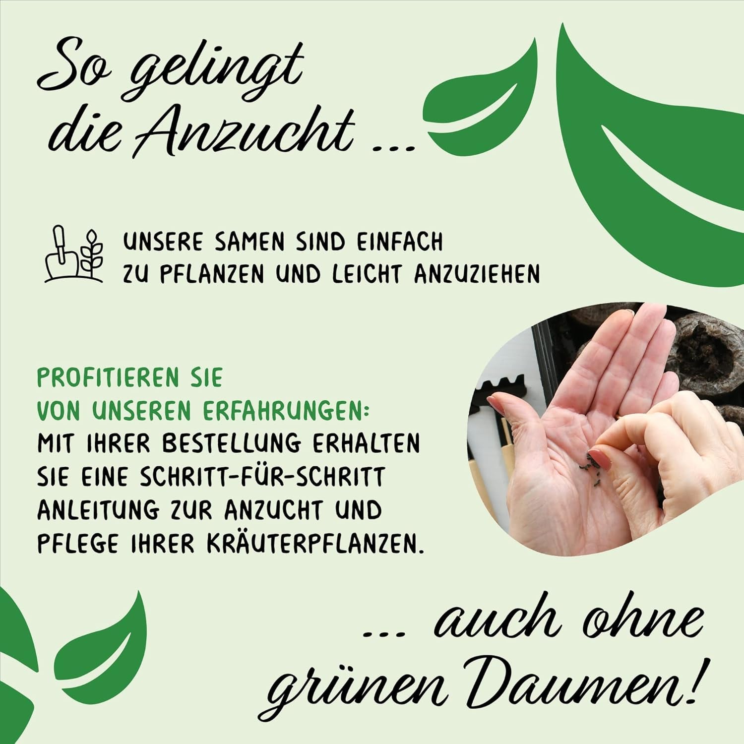 Prademir – Kräutersamen Set aus 16 beliebten Küchenkräutern – Kräuter Anzuchtset mit 100% Natursamen aus Portugal – Kräuter Saatgut con orégano, tomillo, mejorana, rosamarina, eneldo, albahaca, salvia uvm