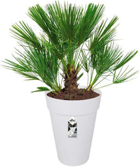 elho Loft Urban Round Tall 35 - Ghiveci de flori pentru exterior - Ø 33,5 x H 45,3 cm - Alb/Alb